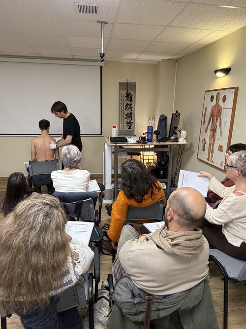 Alumnos observando una demostración práctica sobre camilla